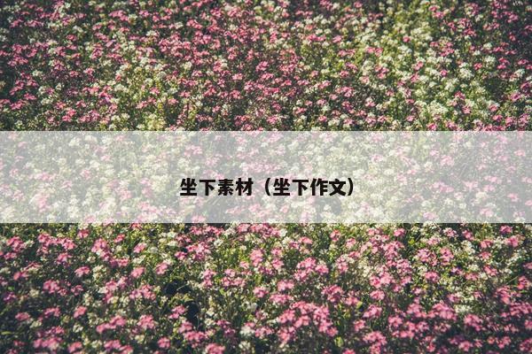 坐下素材（坐下作文）