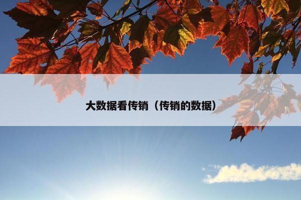 大数据看传销（传销的数据）