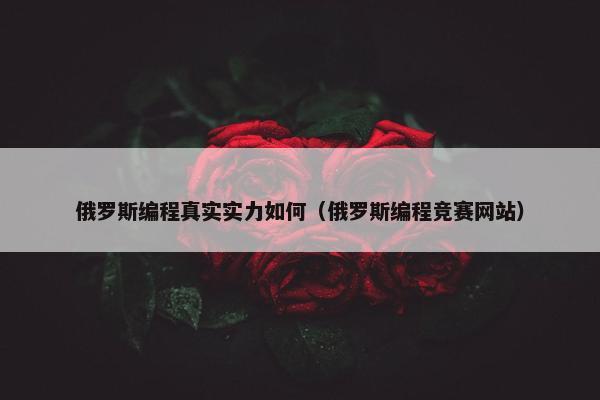 俄罗斯编程真实实力如何（俄罗斯编程竞赛网站）