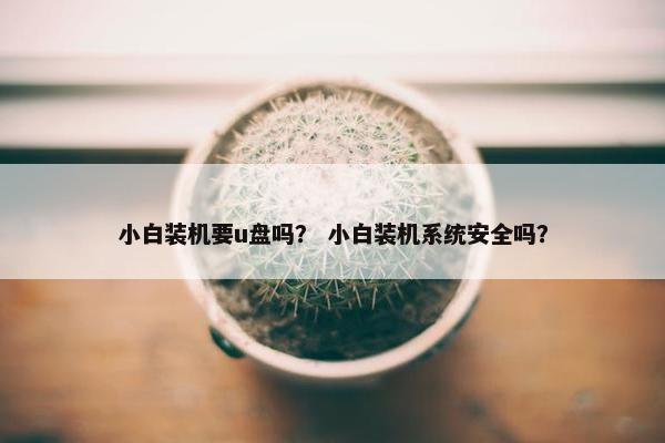 小白装机要u盘吗？ 小白装机系统安全吗？
