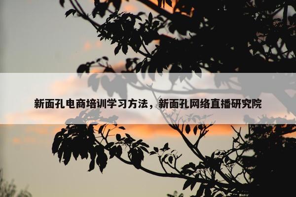 新面孔电商培训学习方法，新面孔网络直播研究院