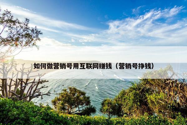 如何做营销号用互联网赚钱（营销号挣钱）
