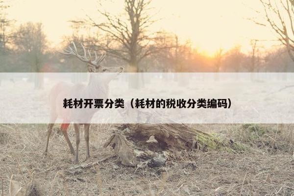 耗材开票分类（耗材的税收分类编码）