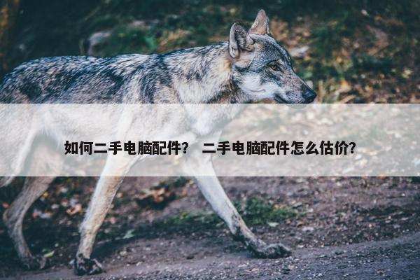 如何二手电脑配件？ 二手电脑配件怎么估价？