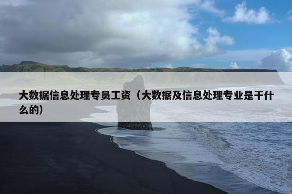 大数据信息处理专员工资（大数据及信息处理专业是干什么的）