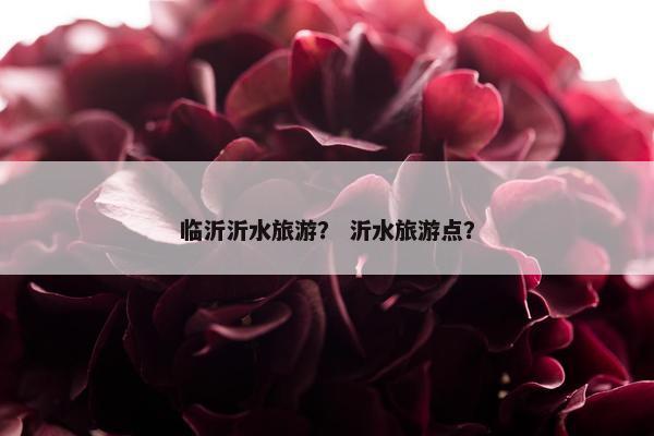 临沂沂水旅游？ 沂水旅游点？