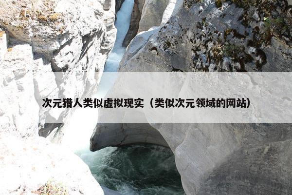 次元猎人类似虚拟现实（类似次元领域的网站）