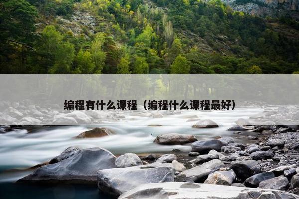 编程有什么课程（编程什么课程最好）