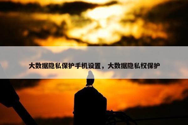 大数据隐私保护手机设置，大数据隐私权保护