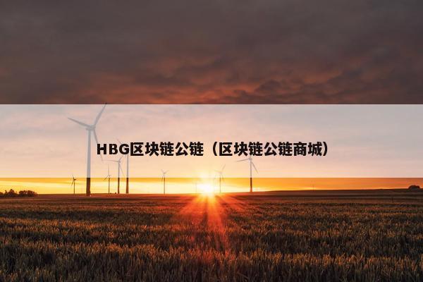 HBG区块链公链（区块链公链商城）