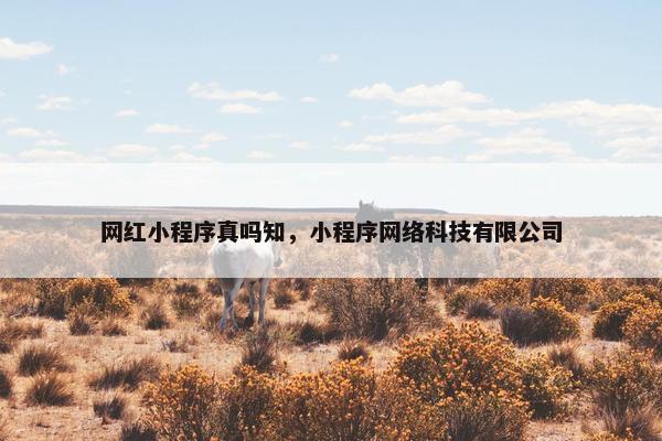 网红小程序真吗知，小程序网络科技有限公司