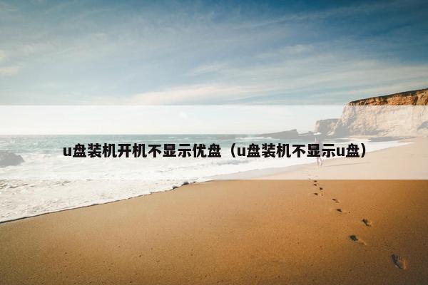 u盘装机开机不显示优盘（u盘装机不显示u盘）
