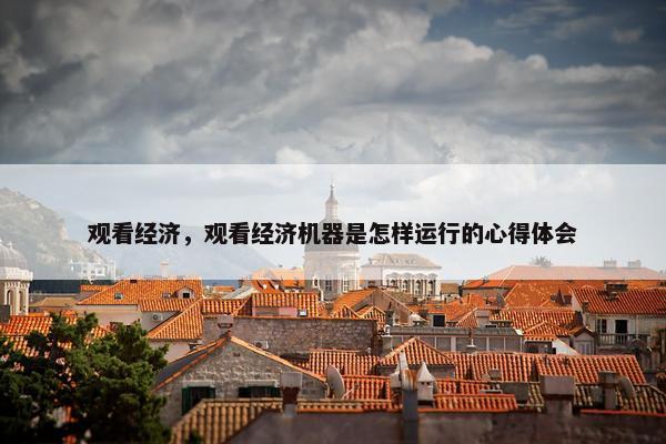 观看经济，观看经济机器是怎样运行的心得体会