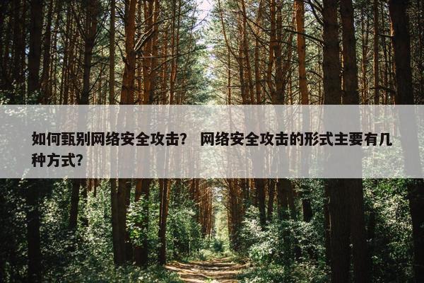 如何甄别网络安全攻击？ 网络安全攻击的形式主要有几种方式？