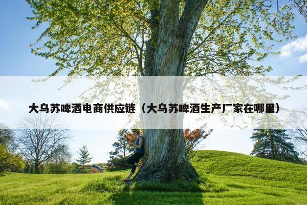 大乌苏啤酒电商供应链（大乌苏啤酒生产厂家在哪里）