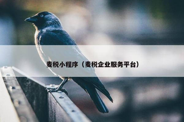 麦税小程序（麦税企业服务平台）