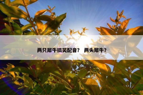 两只犀牛搞笑配音？ 两头犀牛？