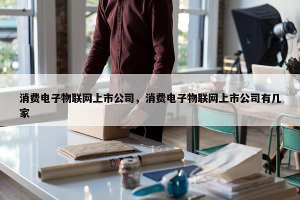 消费电子物联网上市公司，消费电子物联网上市公司有几家