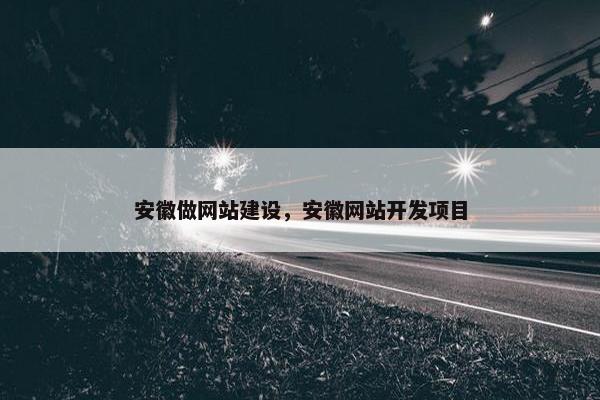 安徽做网站建设，安徽网站开发项目