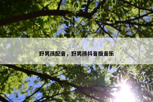 野男孩配音，野男孩抖音版音乐