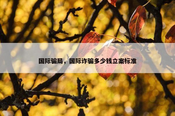 国际骗局，国际诈骗多少钱立案标准