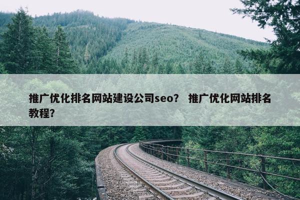 推广优化排名网站建设公司seo？ 推广优化网站排名教程？