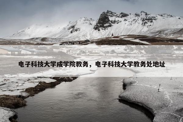 电子科技大学成学院教务，电子科技大学教务处地址