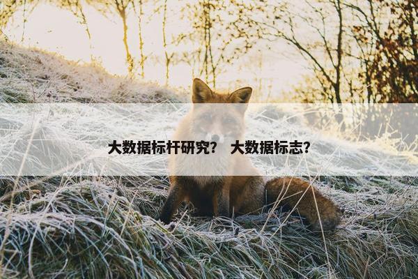 大数据标杆研究？ 大数据标志？