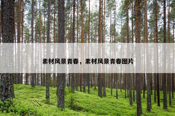 素材风景青春，素材风景青春图片
