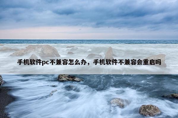 手机软件pc不兼容怎么办，手机软件不兼容会重启吗