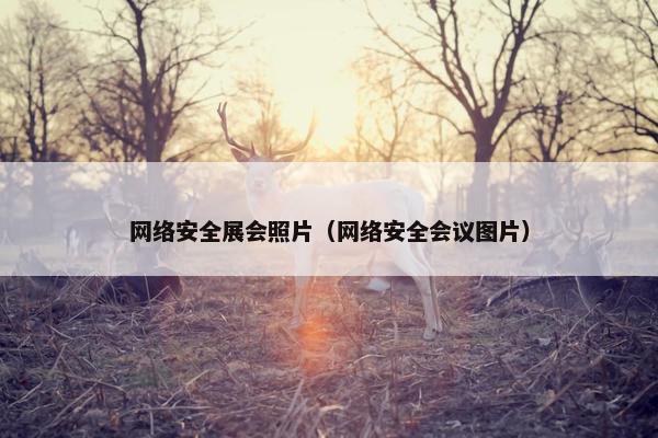 网络安全展会照片（网络安全会议图片）