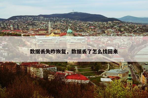 数据丢失咋恢复，数据丢了怎么找回来