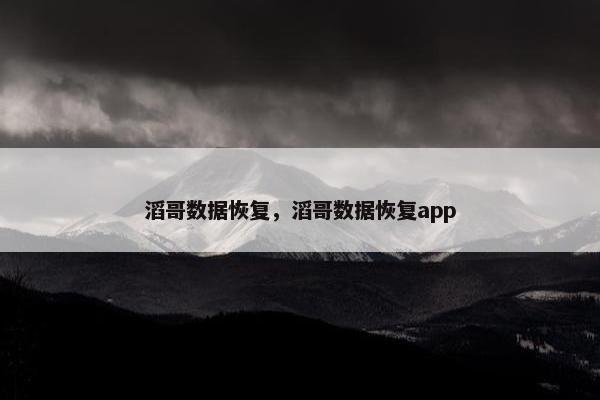 滔哥数据恢复，滔哥数据恢复app
