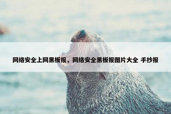 网络安全上网黑板报，网络安全黑板报图片大全 手抄报