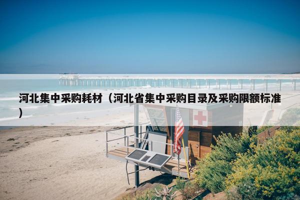 河北集中采购耗材（河北省集中采购目录及采购限额标准）