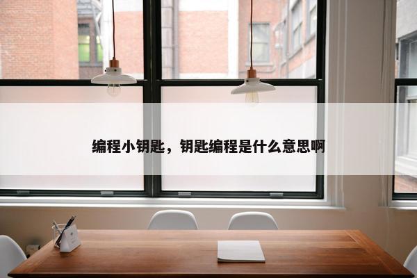 编程小钥匙，钥匙编程是什么意思啊
