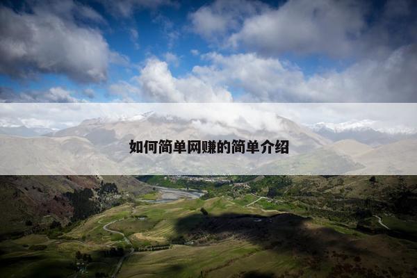 如何简单网赚的简单介绍
