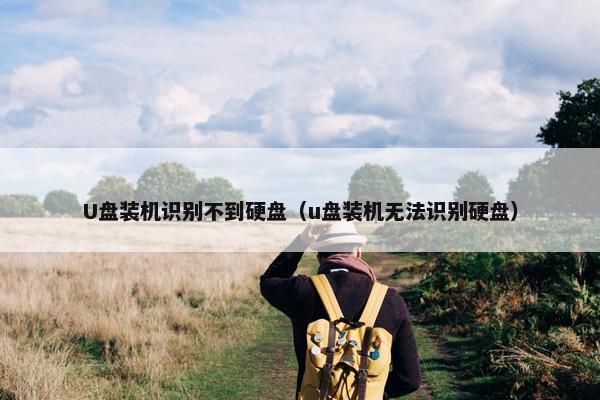 U盘装机识别不到硬盘（u盘装机无法识别硬盘）