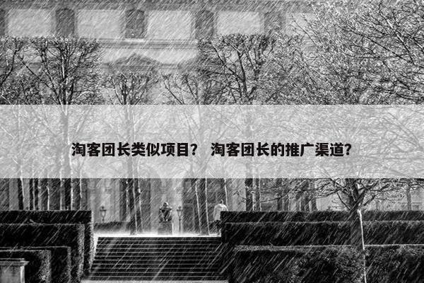 淘客团长类似项目？ 淘客团长的推广渠道？