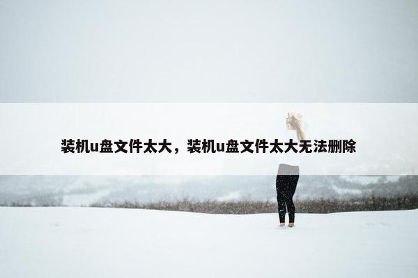 装机u盘文件太大，装机u盘文件太大无法删除