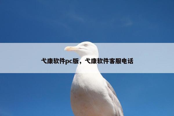 弋康软件pc版，弋康软件客服电话
