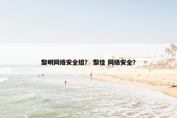 黎明网络安全组？ 黎佳 网络安全？