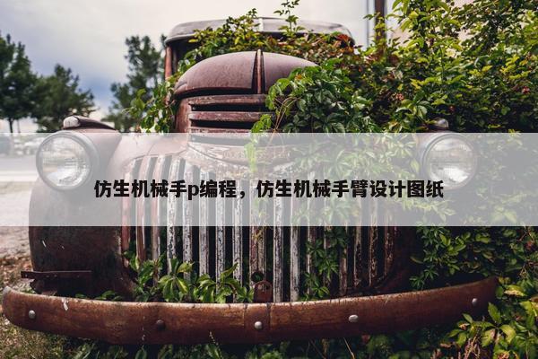 仿生机械手p编程，仿生机械手臂设计图纸