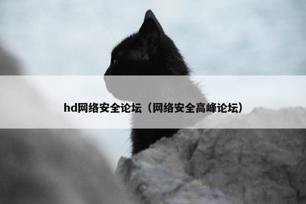hd网络安全论坛（网络安全高峰论坛）