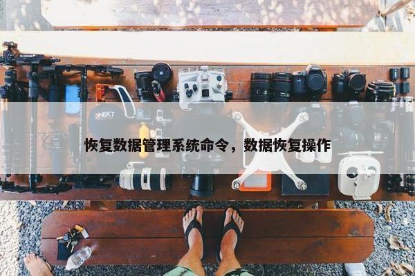 恢复数据管理系统命令，数据恢复操作