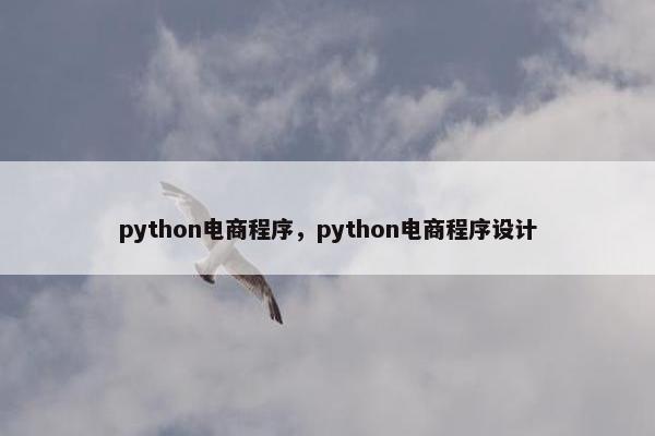 python电商程序，python电商程序设计