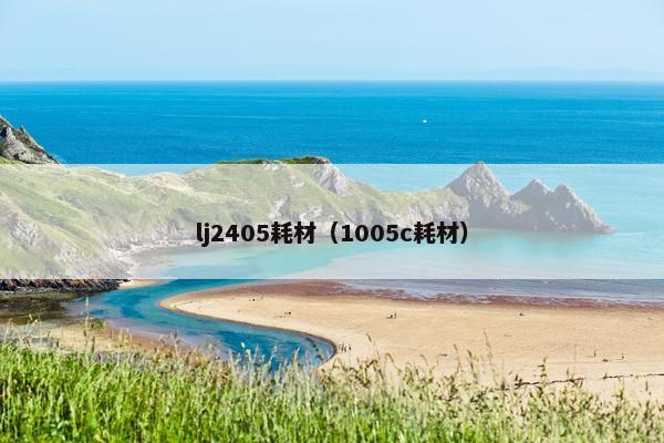 lj2405耗材（1005c耗材）