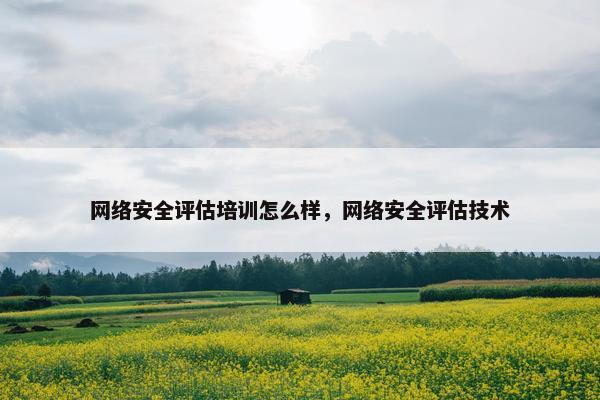 网络安全评估培训怎么样，网络安全评估技术