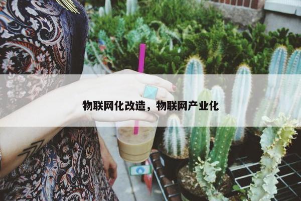 物联网化改造，物联网产业化