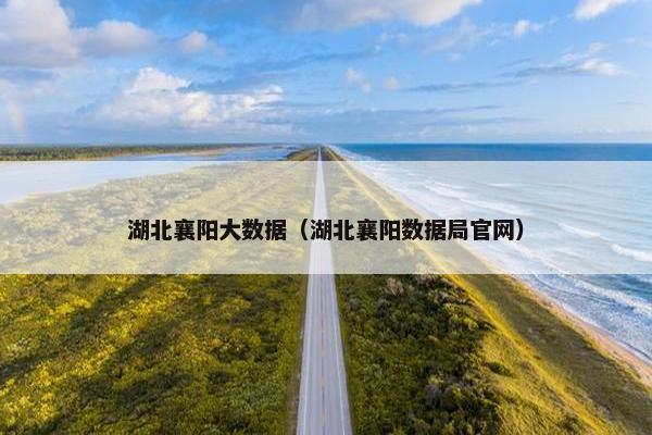 湖北襄阳大数据（湖北襄阳数据局官网）